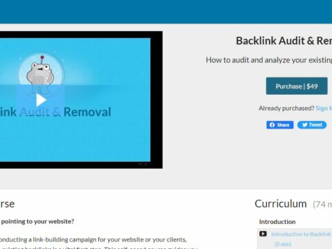 Backlink Audit & Removal