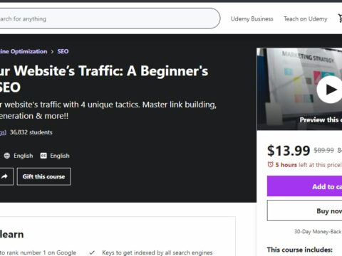 Fire Up Your Website’s Traffic: A Beginner’s Guide On SEO