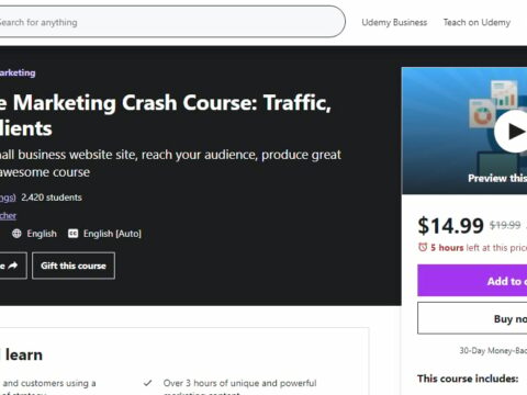 The Online Marketing Crash Course: Traffic, Leads & Clients